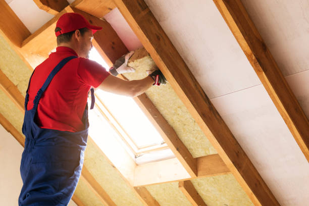 Best Attic Insulation Installation  in Morehead City, NC